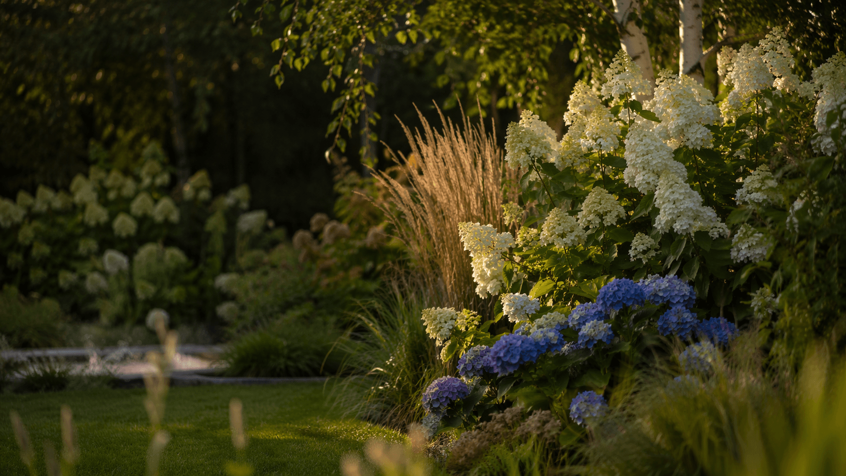 ALLPLANTS Szkółka drzew i krzewów Anita Piątkowska-Krzewicka